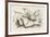 The Snap-Dragon-Fly-John Tenniel-Framed Premium Giclee Print