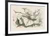 The Snap-Dragon-Fly-John Tenniel-Framed Premium Giclee Print