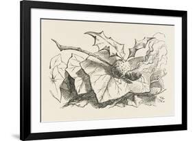 The Snap-Dragon-Fly-John Tenniel-Framed Art Print