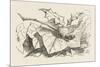 The Snap-Dragon-Fly-John Tenniel-Mounted Art Print