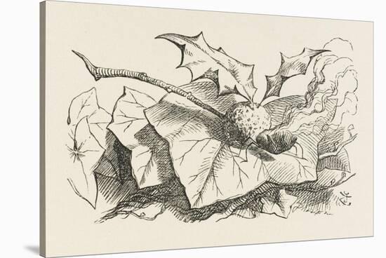 The Snap-Dragon-Fly-John Tenniel-Stretched Canvas