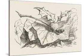 The Snap-Dragon-Fly-John Tenniel-Stretched Canvas