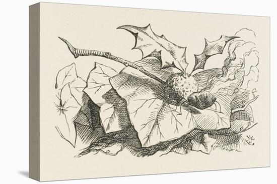 The Snap-Dragon-Fly-John Tenniel-Stretched Canvas