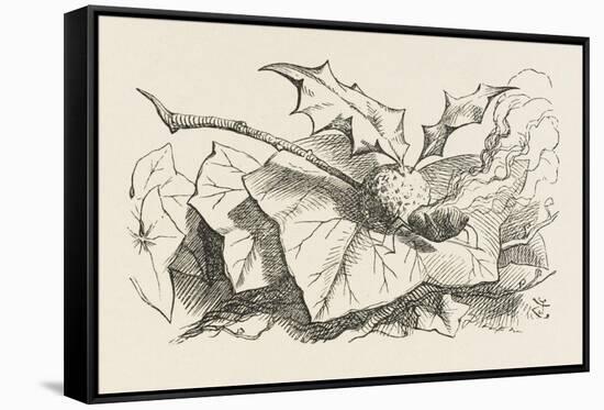 The Snap-Dragon-Fly-John Tenniel-Framed Stretched Canvas