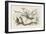 The Snap-Dragon-Fly-John Tenniel-Framed Art Print