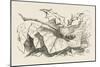 The Snap-Dragon-Fly-John Tenniel-Mounted Art Print