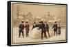 The Snowball-null-Framed Stretched Canvas