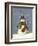 The Snowman's Gift-Margaret Wilson-Framed Giclee Print