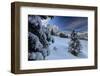 The snowy peak of Sass De Putia frames the wooden hut and woods at dawn, Passo Delle Erbe, Funes Va-Roberto Moiola-Framed Photographic Print