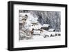 The Snowy Woods Frame the Typical Mountain Huts, Bettmeralp, District of Raron-Roberto Moiola-Framed Photographic Print