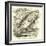 The So-Called Climbing Perch, Anabas Scandens-null-Framed Giclee Print