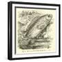 The So-Called Climbing Perch, Anabas Scandens-null-Framed Giclee Print