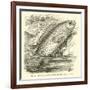 The So-Called Climbing Perch, Anabas Scandens-null-Framed Giclee Print