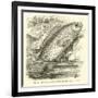 The So-Called Climbing Perch, Anabas Scandens-null-Framed Giclee Print