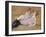 The Sofa, c.1894-96-Henri de Toulouse-Lautrec-Framed Giclee Print