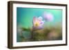 The softest spring ll-Heidi Westum-Framed Photographic Print