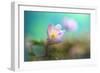 The softest spring ll-Heidi Westum-Framed Photographic Print