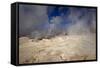 The Sol De Manana Geysers, a Geothermal Field at a Height of 5000 Metres, Bolivia, South America-James Morgan-Framed Stretched Canvas