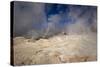 The Sol De Manana Geysers, a Geothermal Field at a Height of 5000 Metres, Bolivia, South America-James Morgan-Stretched Canvas