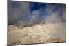 The Sol De Manana Geysers, a Geothermal Field at a Height of 5000 Metres, Bolivia, South America-James Morgan-Mounted Photographic Print