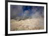 The Sol De Manana Geysers, a Geothermal Field at a Height of 5000 Metres, Bolivia, South America-James Morgan-Framed Photographic Print