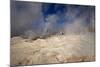 The Sol De Manana Geysers, a Geothermal Field at a Height of 5000 Metres, Bolivia, South America-James Morgan-Mounted Photographic Print