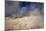 The Sol De Manana Geysers, a Geothermal Field at a Height of 5000 Metres, Bolivia, South America-James Morgan-Mounted Photographic Print