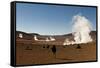 The Sol De Manana Geysers, a Geothermal Field at a Height of 5000 Metres, Bolivia, South America-James Morgan-Framed Stretched Canvas