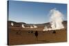 The Sol De Manana Geysers, a Geothermal Field at a Height of 5000 Metres, Bolivia, South America-James Morgan-Stretched Canvas