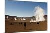 The Sol De Manana Geysers, a Geothermal Field at a Height of 5000 Metres, Bolivia, South America-James Morgan-Mounted Photographic Print