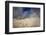 The Sol De Manana Geysers, a Geothermal Field at a Height of 5000 Metres, Bolivia, South America-James Morgan-Framed Photographic Print