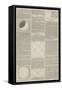 The Solar Eclipse of 15 March as Seen at the Cambridge Observatory-null-Framed Stretched Canvas