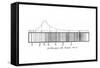 The Solar Spectrum, 1814-null-Framed Stretched Canvas