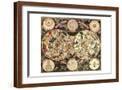 Brown Frame