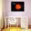 The Solar System-Stocktrek Images-Mounted Photographic Print displayed on a wall