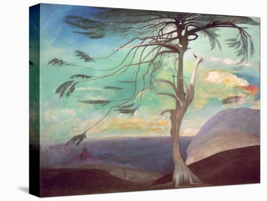 The Solitary Cedar, 1907-Tivadar Csontvary Kosztka-Stretched Canvas