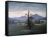 The Solitary Tree, 1823-Caspar David Friedrich-Framed Stretched Canvas