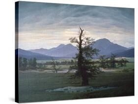 The Solitary Tree, 1823-Caspar David Friedrich-Stretched Canvas