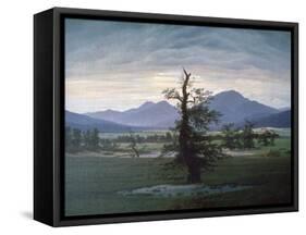 The Solitary Tree, 1823-Caspar David Friedrich-Framed Stretched Canvas