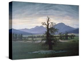 The Solitary Tree, 1823-Caspar David Friedrich-Stretched Canvas