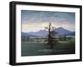 The Solitary Tree, 1823-Caspar David Friedrich-Framed Giclee Print