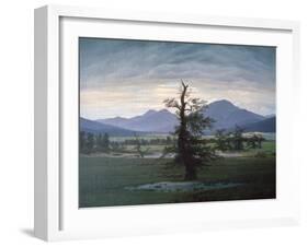 The Solitary Tree, 1823-Caspar David Friedrich-Framed Giclee Print