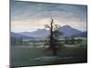 The Solitary Tree, 1823-Caspar David Friedrich-Mounted Giclee Print