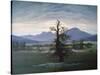 The Solitary Tree, 1823-Caspar David Friedrich-Stretched Canvas
