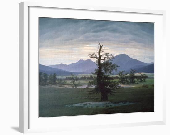 The Solitary Tree, 1823-Caspar David Friedrich-Framed Giclee Print