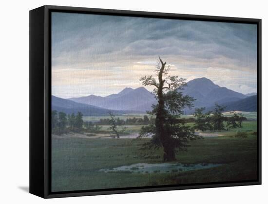 The Solitary Tree, 1823-Caspar David Friedrich-Framed Stretched Canvas