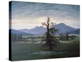 The Solitary Tree, 1823-Caspar David Friedrich-Stretched Canvas