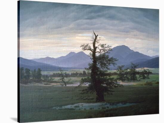 The Solitary Tree, 1823-Caspar David Friedrich-Stretched Canvas