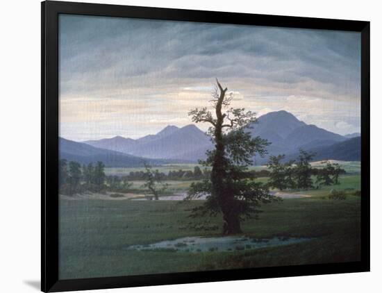 The Solitary Tree, 1823-Caspar David Friedrich-Framed Giclee Print