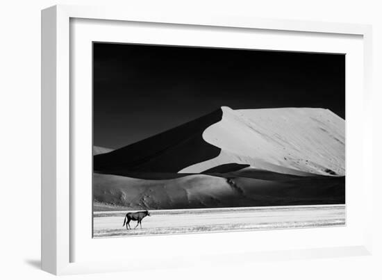 The Solitary-Mathilde Guillemot-Framed Photographic Print